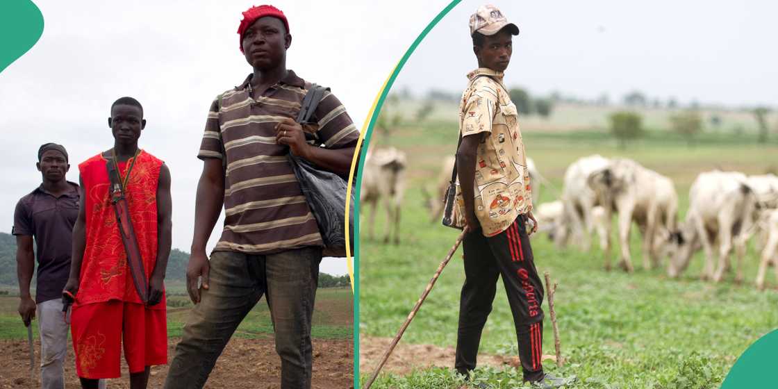Farmers and herders clash in Adamawa Farmers and herders clash in Adamawa