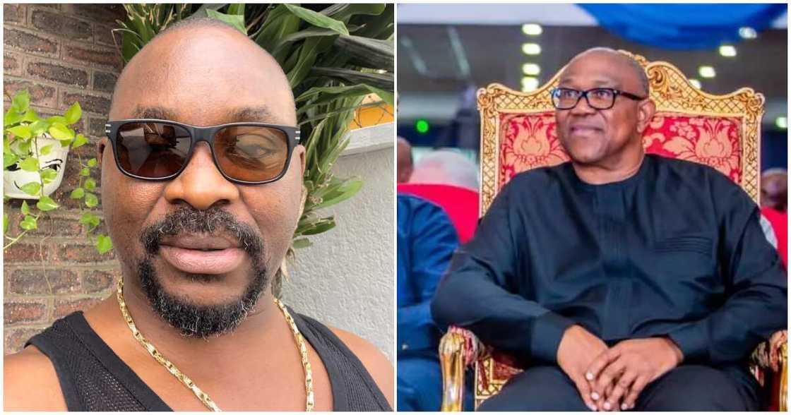 Peter Obi/Peter Obi news Peter Obi/Peter Obi news