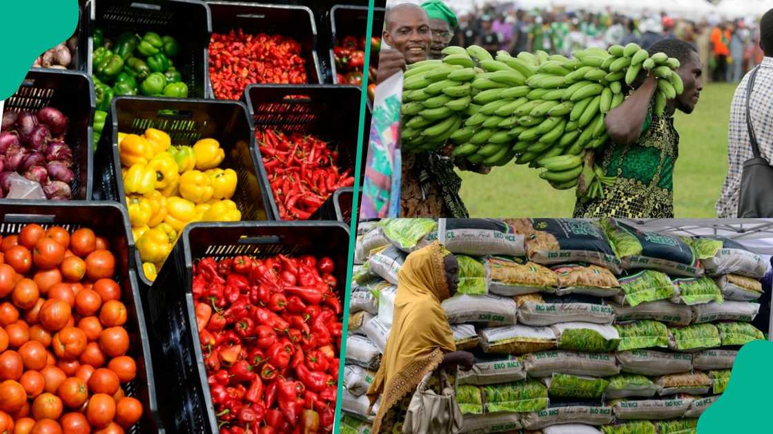 How Africa can improve food production, reverse $50b spent on food import - AFC