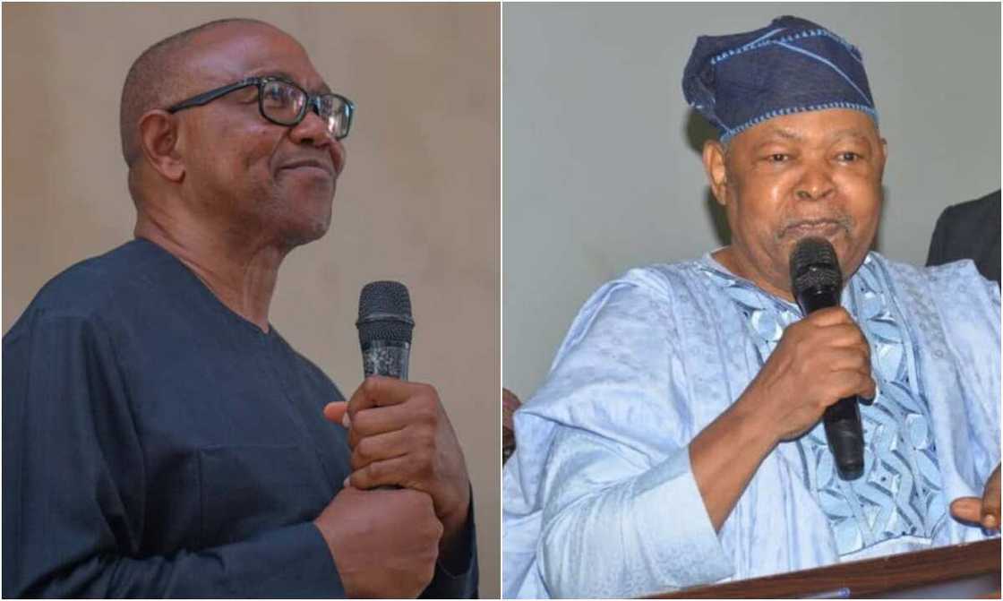 Peter Obi, Dan Suleiman Peter Obi, Dan Suleiman