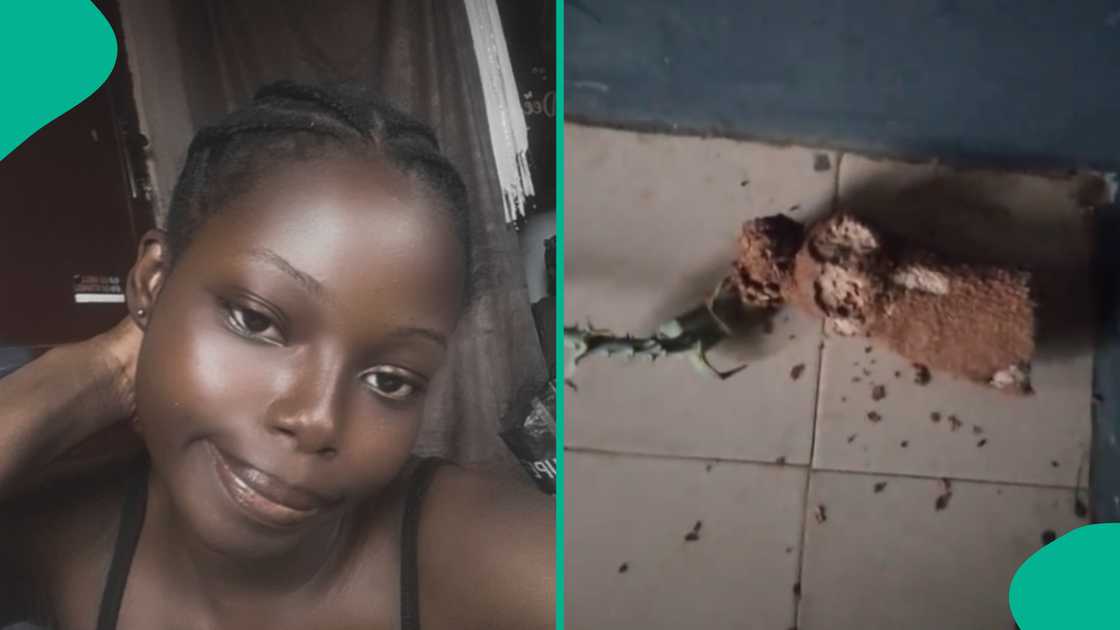 Lady shows how her yam grew tendrils in her room. Lady shows how her yam grew tendrils in her room.