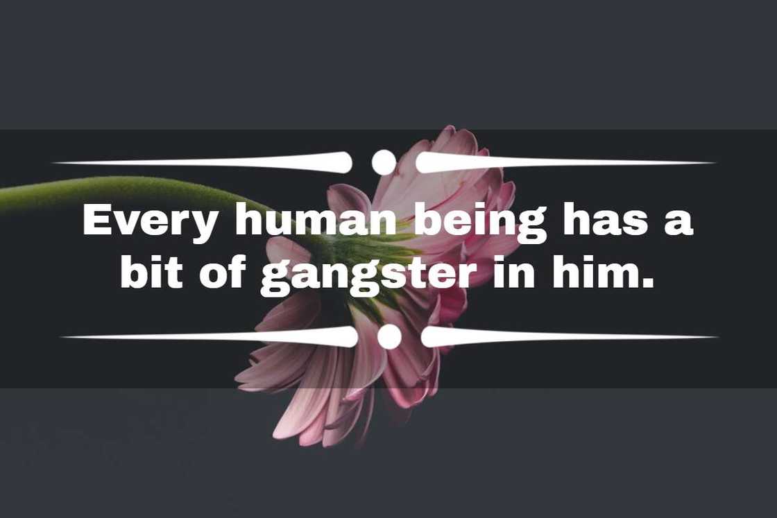 Short gangster quotes