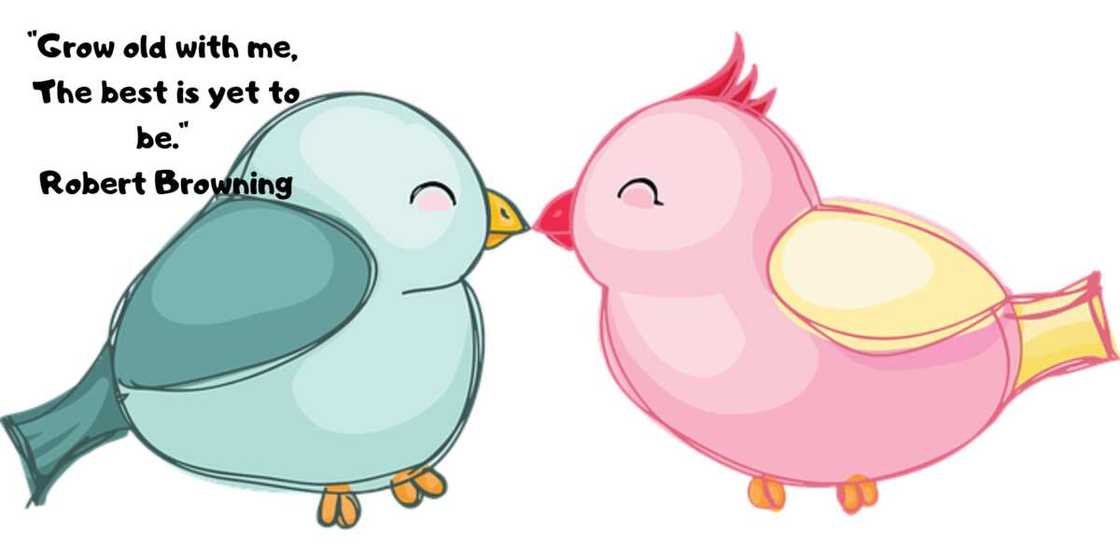 happy anniversary wishes happy anniversary wishes