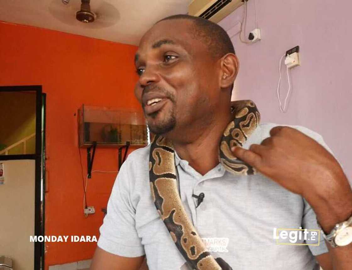 Meet the Nigerian vet who rescues and shelters animals