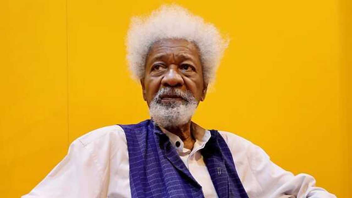 Tattaunawa kan Buhari zai iya taba min kwakwalwa, in ji Soyinka