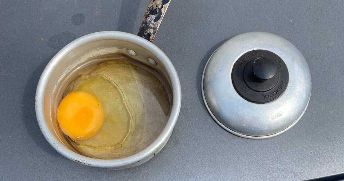 Boiled Egg