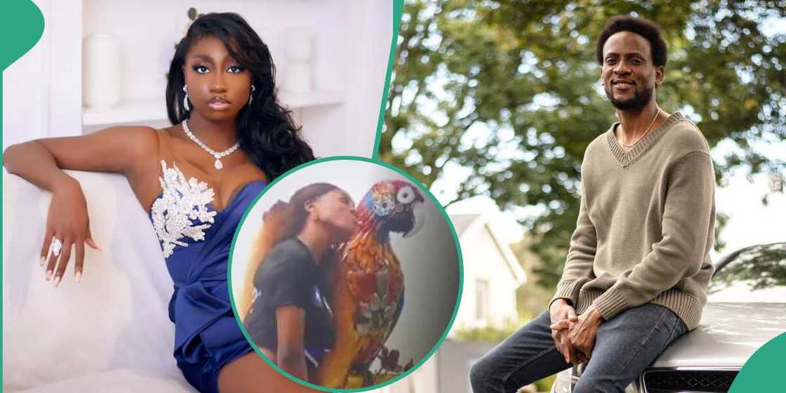 BBNaija All Stars: Omashola compares Doyin to Biggie's parrot. BBNaija All Stars: Omashola compares Doyin to Biggie's parrot.