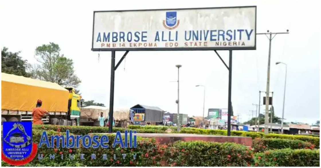 AAU graduate, Precious Ogbeide attempts to kill self over withheld results