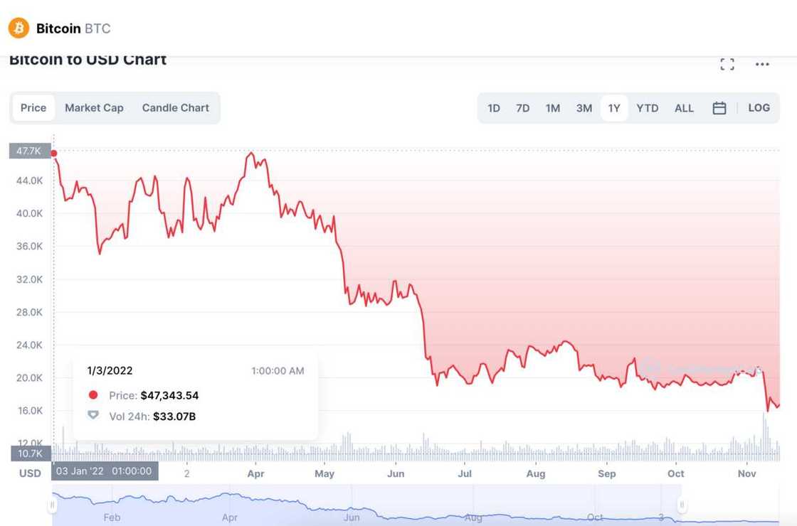 Bitcoin lost value in 2022 Bitcoin lost value in 2022