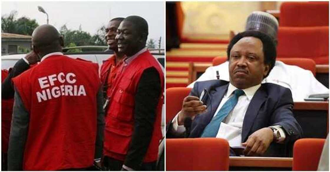 Shehu Sani says EFCC connived with his accuser to frame him for alleged extortion Shehu Sani says EFCC connived with his accuser to frame him for alleged extortion