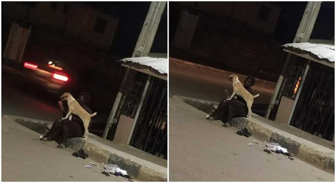 A Nigerian woman who has mental challenges playing with her dog in the streets at night. A Nigerian woman who has mental challenges playing with her dog in the streets at night.