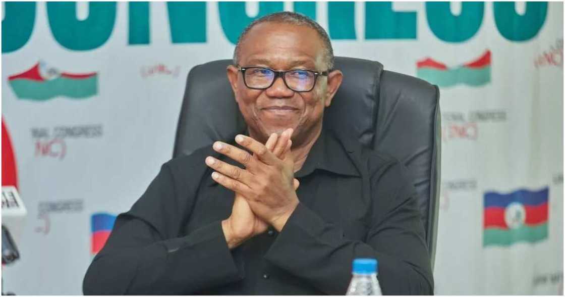 Peter Obi, Pandora papers, 2023 elections, Labour Party, Anambra state governor Peter Obi, Pandora papers, 2023 elections, Labour Party, Anambra state governor