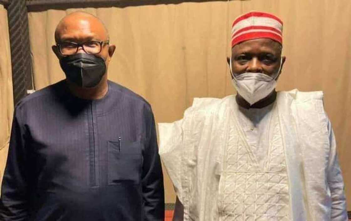 2023 elections, Peter Obi, Rabiu Kwankwaso, LP, NNPP