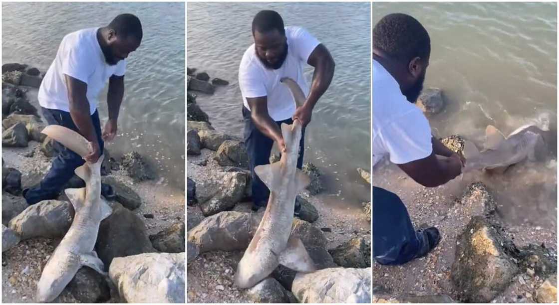 Photos of a man releasing fish back into the river.