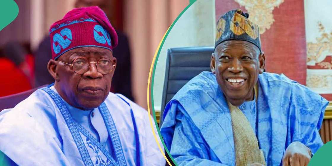 Ganduje's woes: President Bola Tinubu urged to intervene Ganduje's woes: President Bola Tinubu urged to intervene