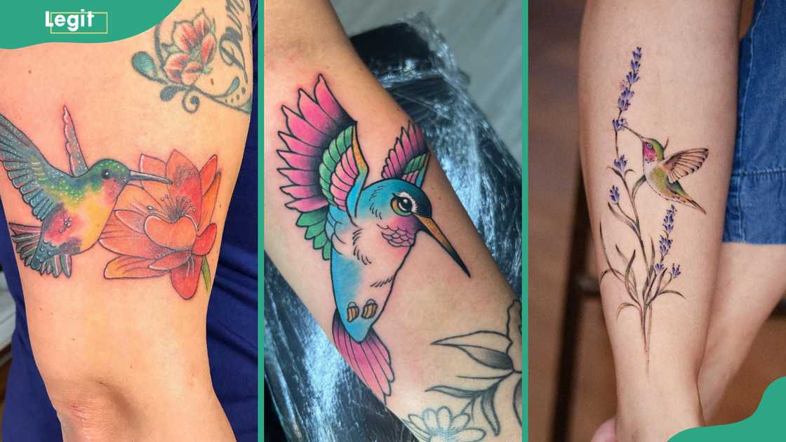 Variations of hummingbird tattoo: Hummingbird and lotus flower (L), colourful hummingbird (C) Hummingbird and lavender flower (R). Variations of hummingbird tattoo: Hummingbird and lotus flower (L), colourful hummingbird (C) Hummingbird and lavender flower (R).