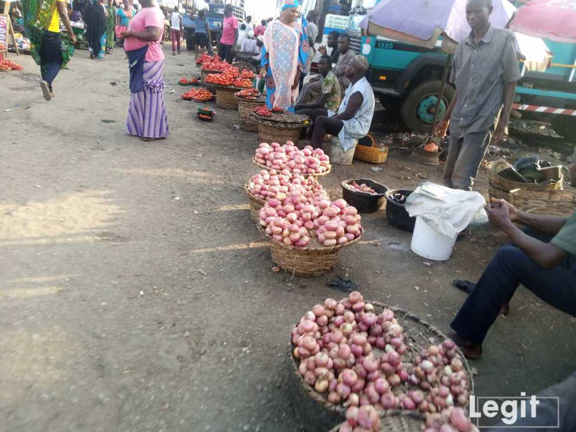 Onion sellers decry low patronage despite the affordability of the item in the market now. Photo credit: Esther Odili Onion sellers decry low patronage despite the affordability of the item in the market now. Photo credit: Esther Odili
