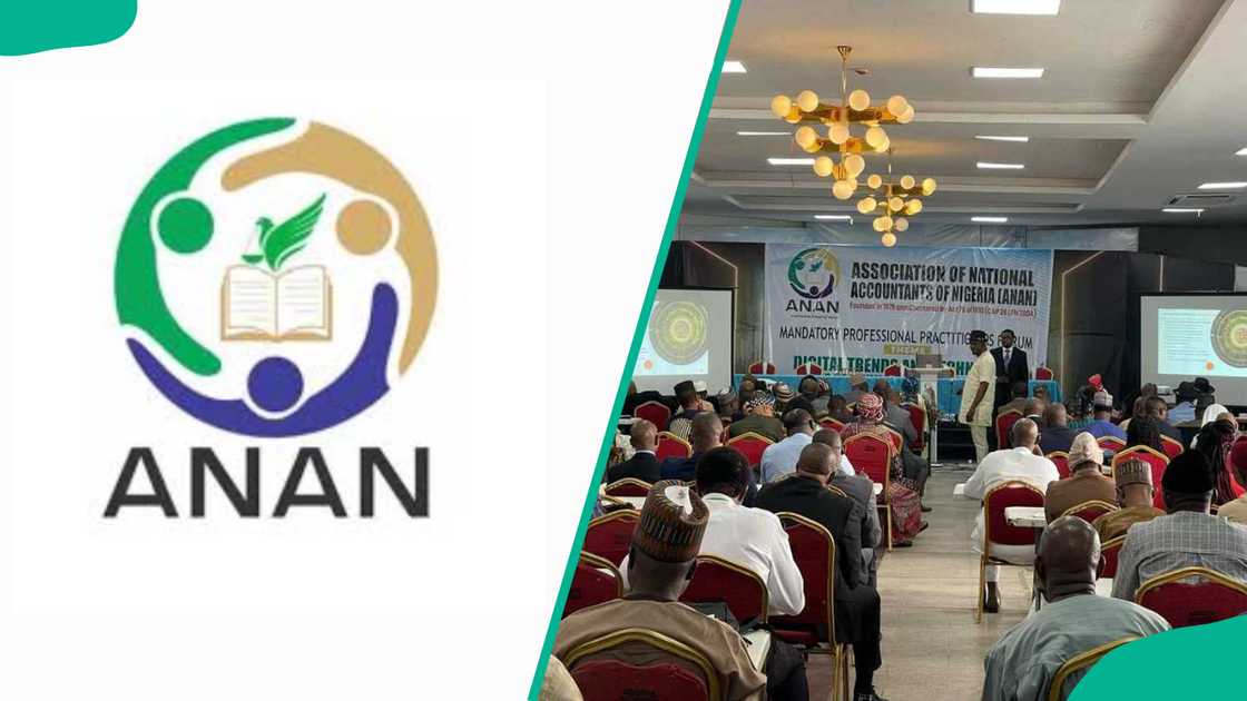 ANAN's logo and people attending an ANAN conference ANAN's logo and people attending an ANAN conference