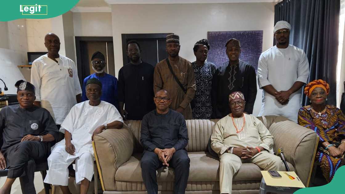 Afenifere leaders.