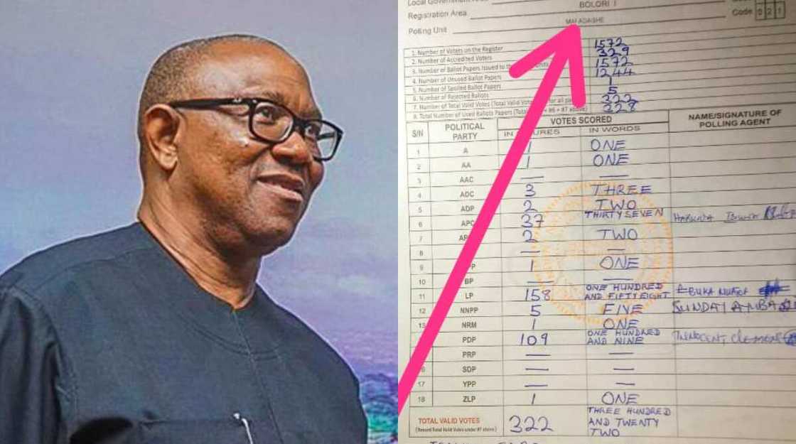 Peter Obi, Borno state Peter Obi, Borno state