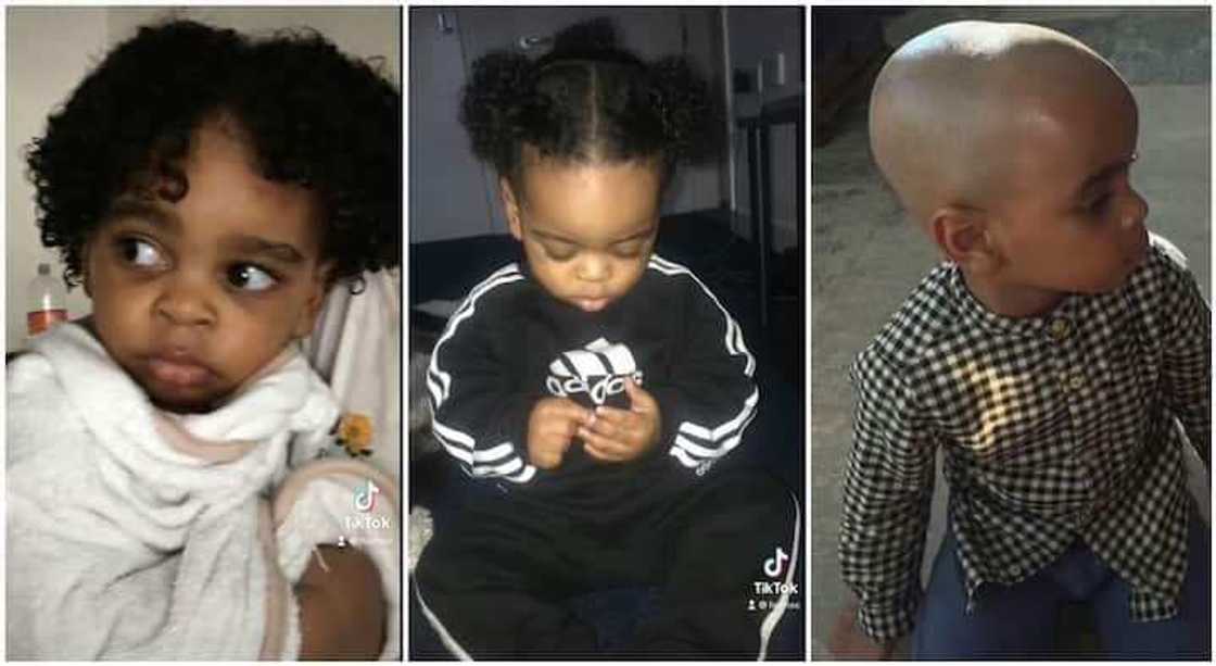 Bidiyon yadda tsohuwa ta aske kan jikanta kwal-kwal ya jawo cece-kuce Bidiyon yadda tsohuwa ta aske kan jikanta kwal-kwal ya jawo cece-kuce