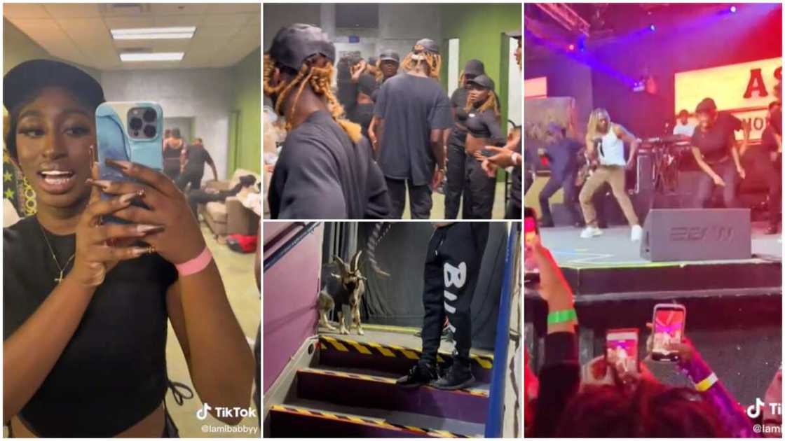 Asake's performance in Atlanta/lady showed goat at backstage. Asake's performance in Atlanta/lady showed goat at backstage.
