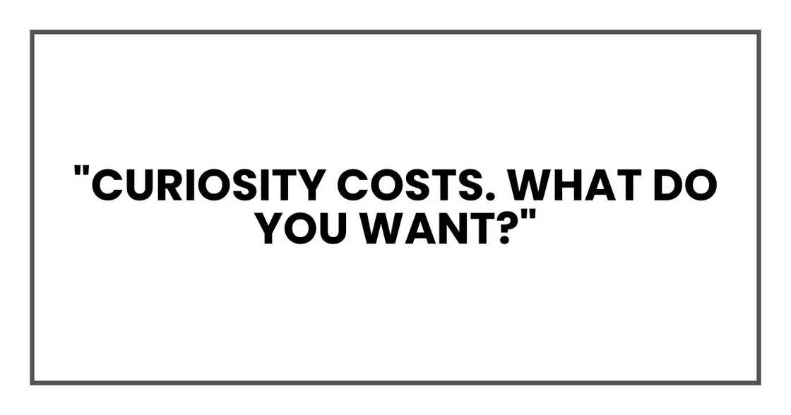 "Curiosity costs. What do you want?"
