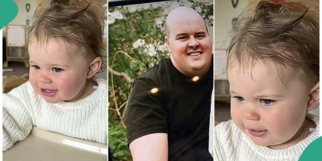 Photo of the toddler Photo of the toddler