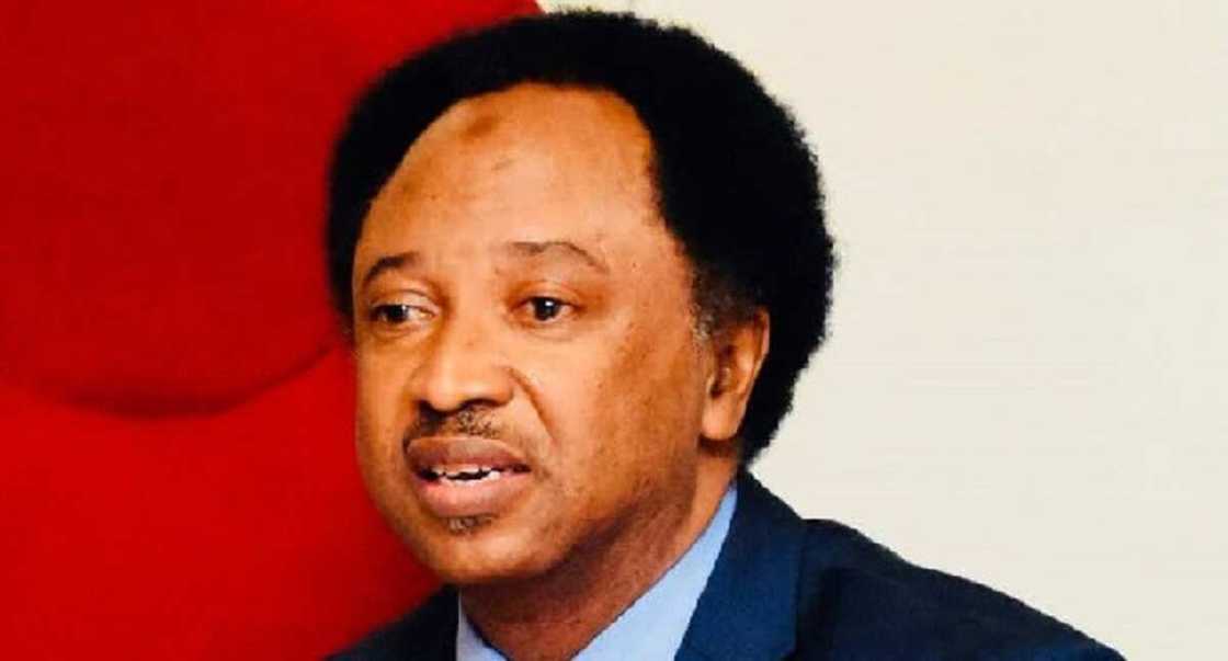 Shehu Sani ya shawarci Atiku Shehu Sani ya shawarci Atiku