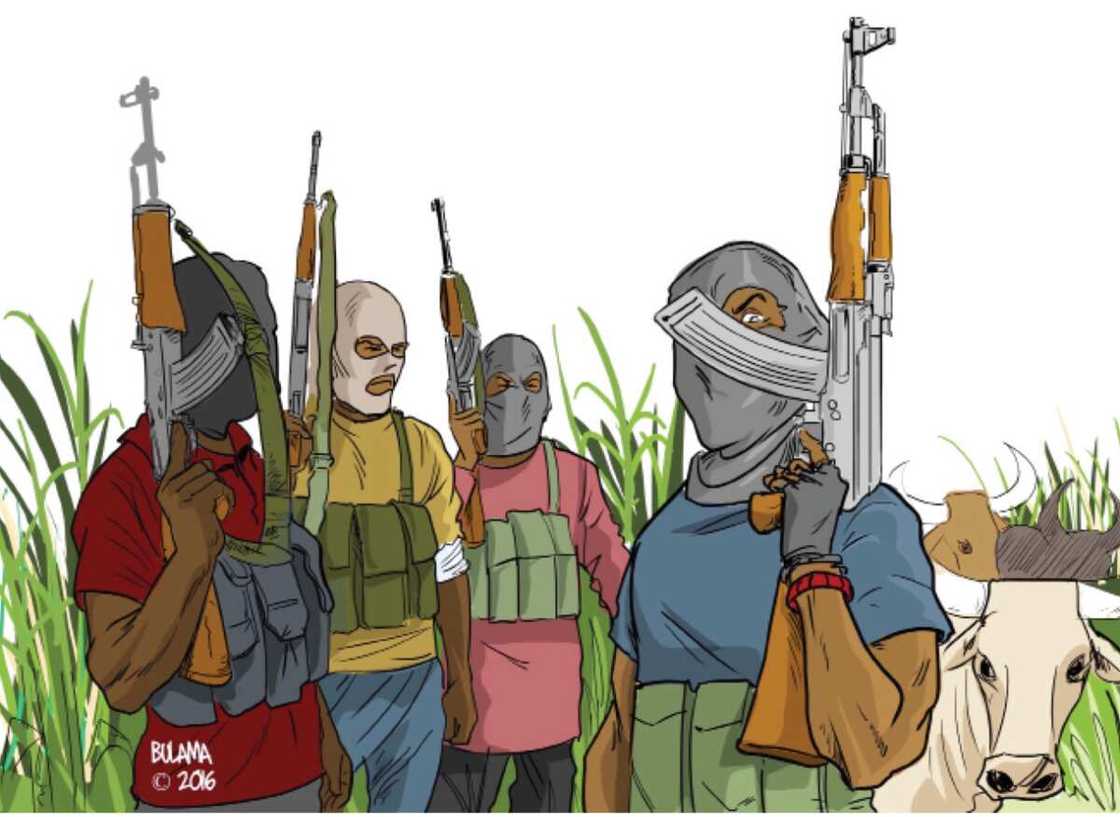 ‘Yan bindigan Zamfara ‘Yan bindigan Zamfara