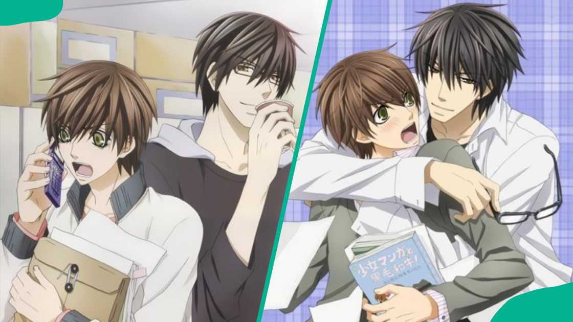 Sekai Ichi Hatsukoi characters Ritsu Onodera and Masamune Takano Sekai Ichi Hatsukoi characters Ritsu Onodera and Masamune Takano
