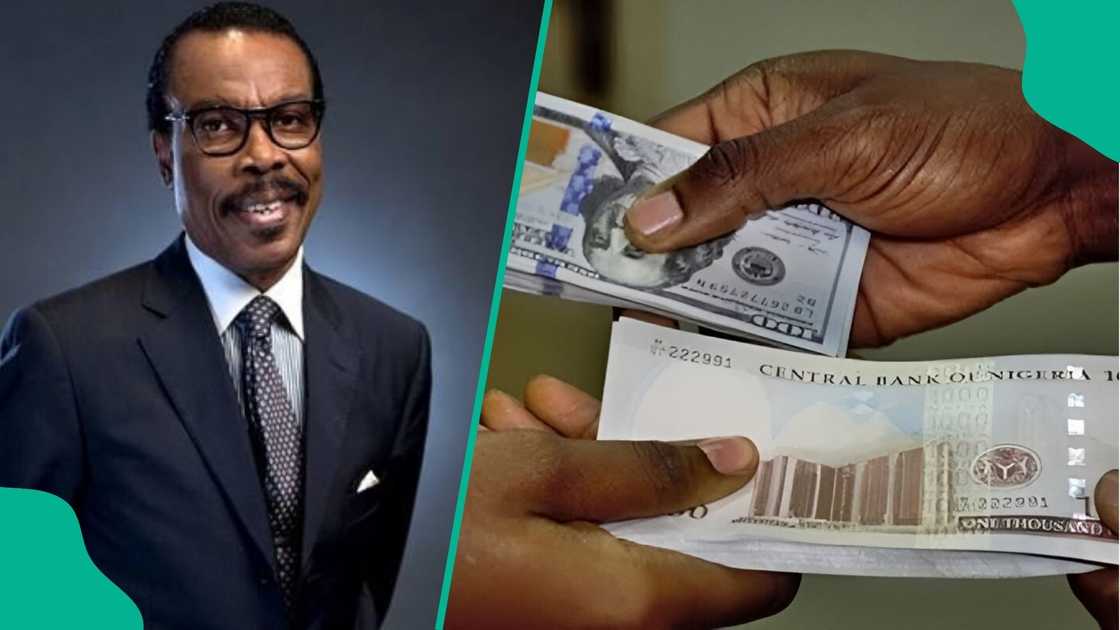 CBN’s Interest Rate Cut: Rewane Predicts Naira Depreciation, Says Dollars and Bitcoin May Gain CBN’s Interest Rate Cut: Rewane Predicts Naira Depreciation, Says Dollars and Bitcoin May Gain