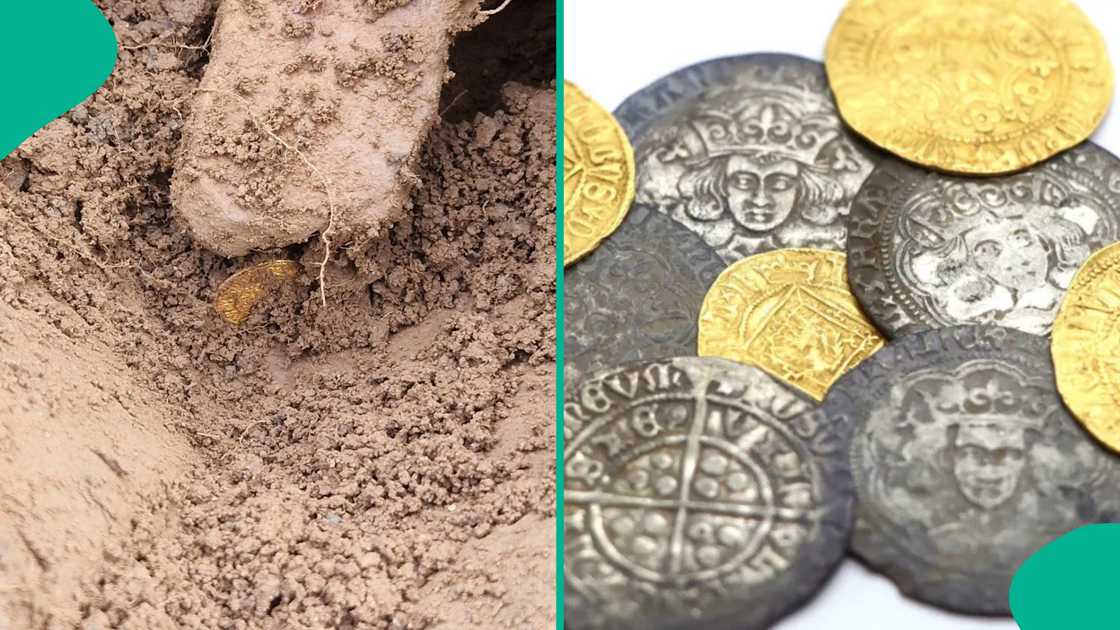 Two metal detectorists find treasure trove at Scottish Borders. Two metal detectorists find treasure trove at Scottish Borders.