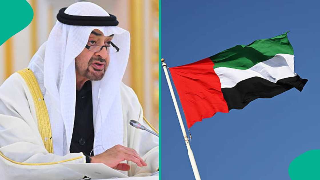 The UAE government has shared how foreigners can be approved for residency permits