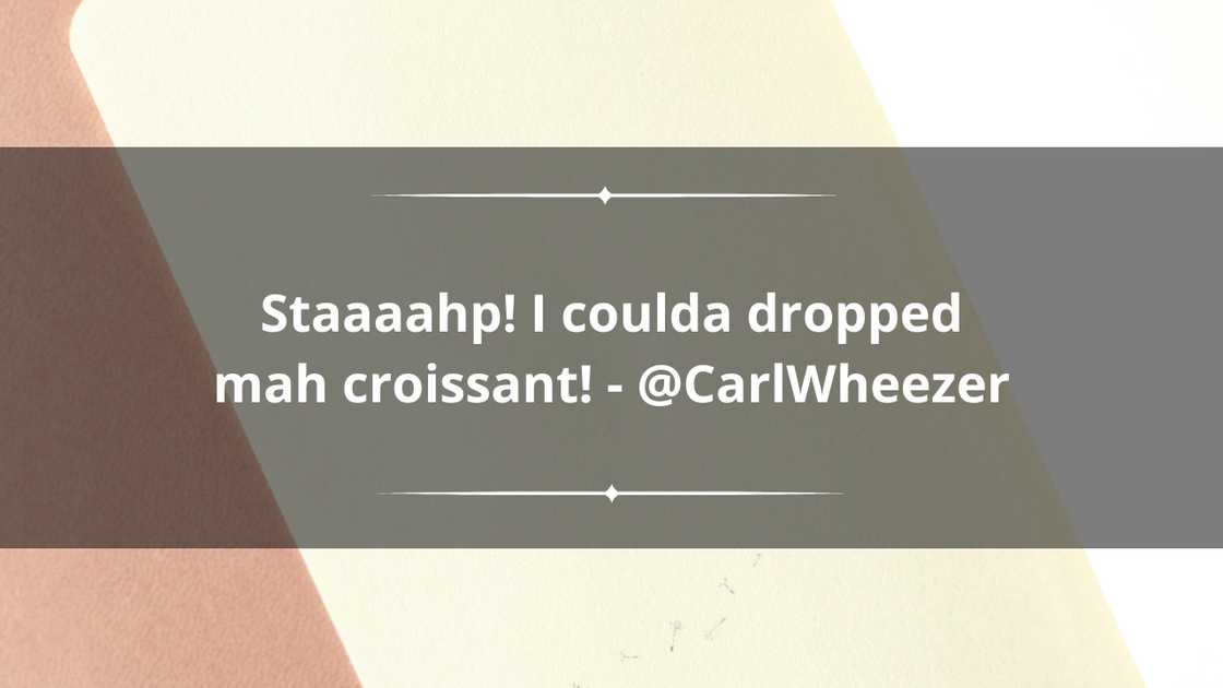 best iconic vine quotes for instagram best iconic vine quotes for instagram
