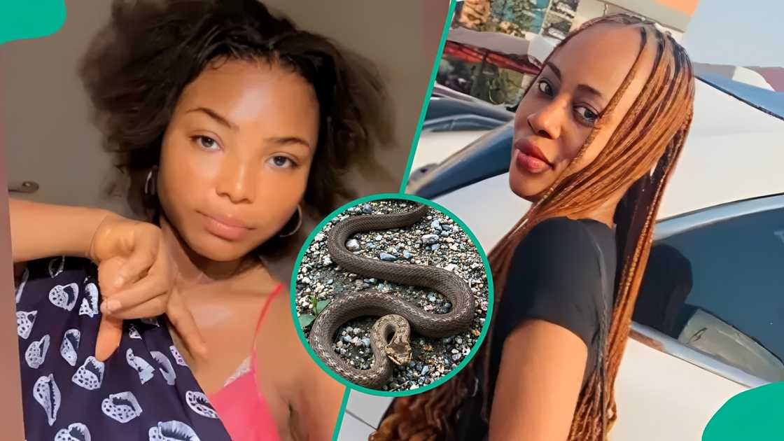 Snakebite survivors share how they got saved amid concerns over Ifunanya Nwangene's death. Snakebite survivors share how they got saved amid concerns over Ifunanya Nwangene's death.