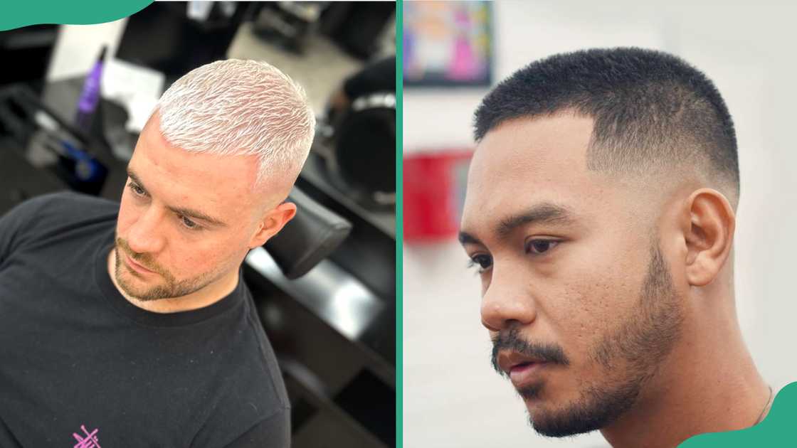 Buzz cut Buzz cut