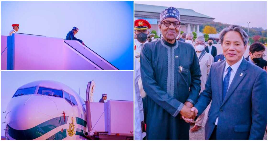 President Muhammadu Buhari, South Korea, the first World Bio Summit President Muhammadu Buhari, South Korea, the first World Bio Summit