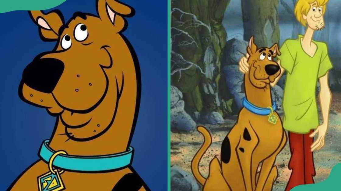 Scooby-Doo and Shaggy Scooby-Doo and Shaggy