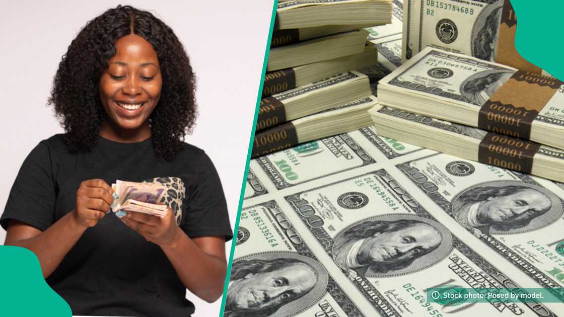 dollar crashes in all markets dollar crashes in all markets