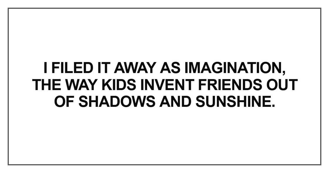 I filed it away as imagination