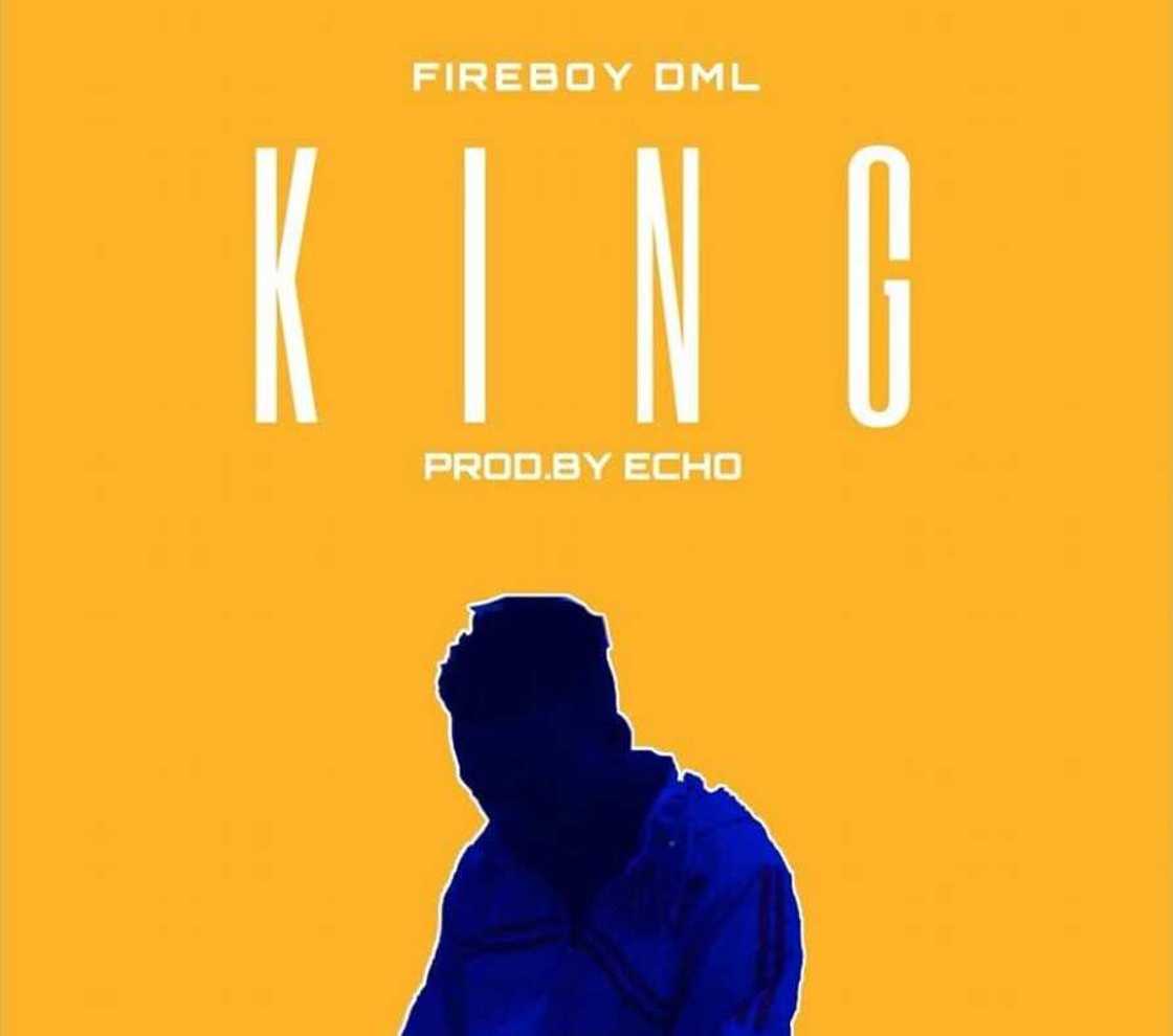Fireboy DML - King Fireboy DML - King