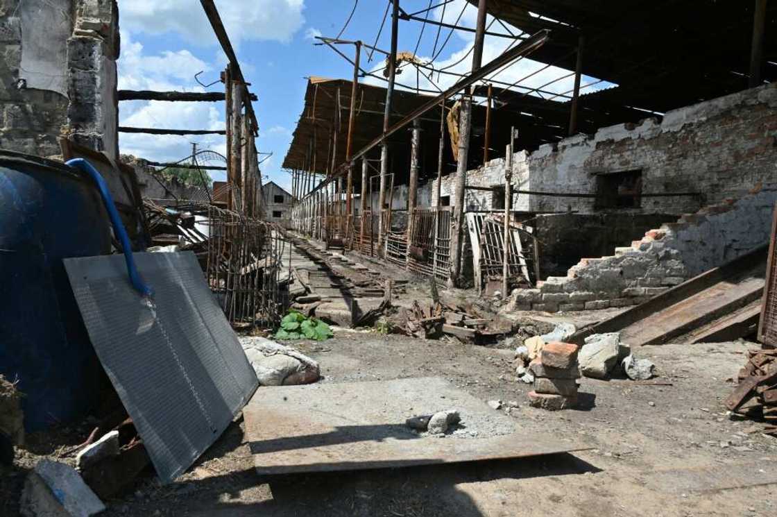 Farms and agricultural land across Ukraine have been devastated by the war Farms and agricultural land across Ukraine have been devastated by the war