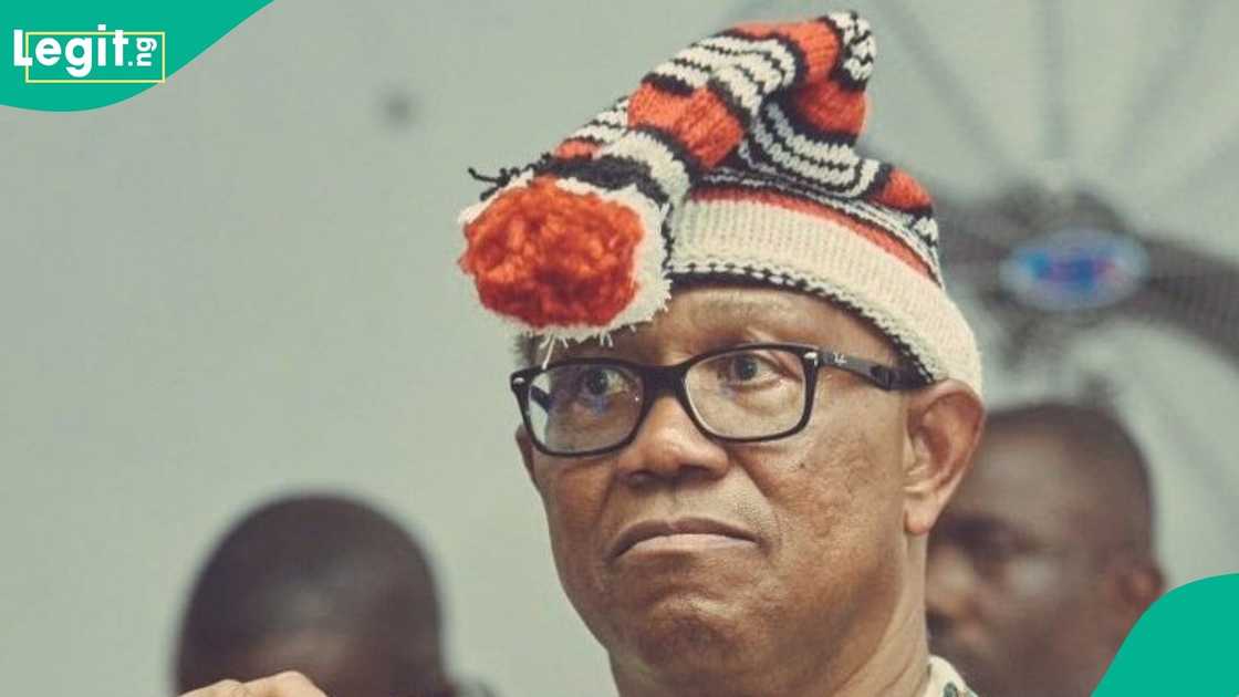 2027 Presidency: "Obi Has Better Chances Than He Had in 2023," Aisha Yesufu Declares, Gives Reasons 2027 Presidency: "Obi Has Better Chances Than He Had in 2023," Aisha Yesufu Declares, Gives Reasons