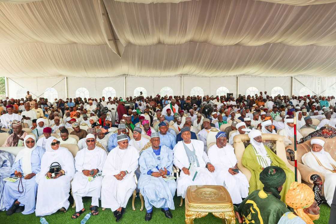 Wajen taron Ilorin