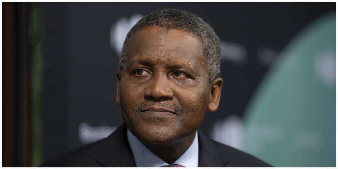 Dangote Set to Receive Over N200billion as Dividend from Cement Company Dangote Set to Receive Over N200billion as Dividend from Cement Company