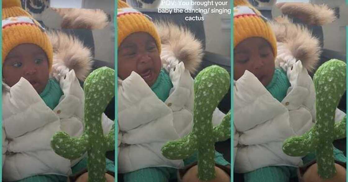 Little girl stops crying as cactus imitates her voice