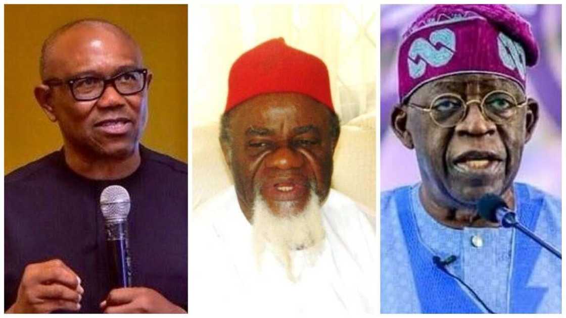 Chukwuemeka Ezeife, Bola Tinubu, Peter Obi, Labour Party, Southern Nigeria