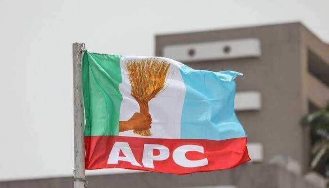 APC flag