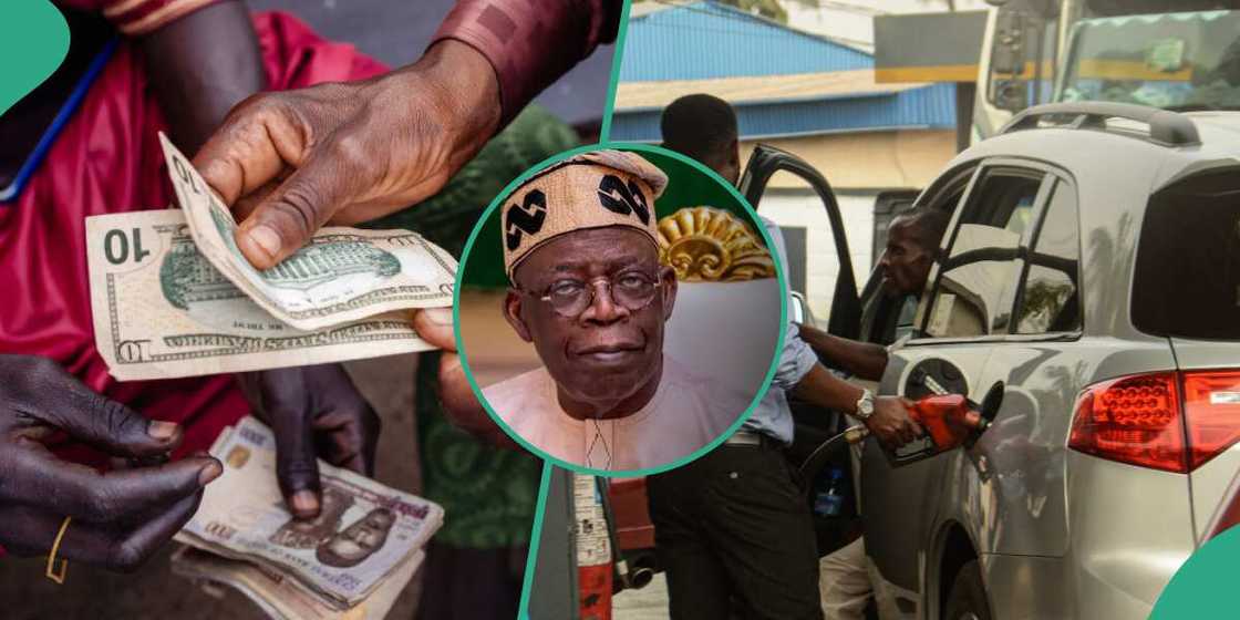 2023 in review for Nigerians 2023 in review for Nigerians